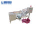 500KG/Hour Grape Drying Machine Washing Process Machines For Raisin