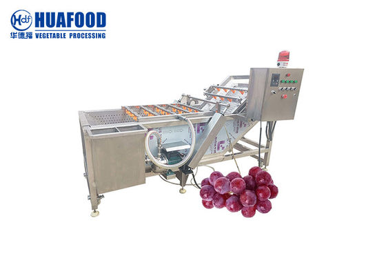 500kg/hr Vegetable Washing Machine Grape Processing Machine Into Raisins