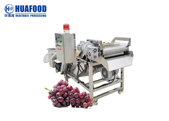 500KG/Hour Grape Drying Machine Washing Process Machines For Raisin