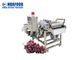 SUS304 Fruit And Vegetable Washing Machine Grape Cleaner Machine