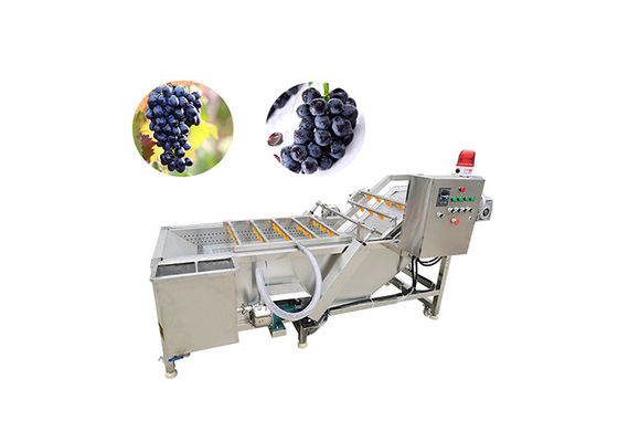 500kg/h Grape Washing And Drying Machine SUS 304 Stainless Steel