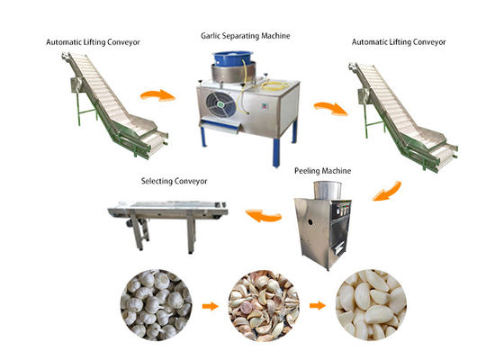 1000-2000 kg/h Industrial Automatic Garlic Peeler Processing Machine Production Line