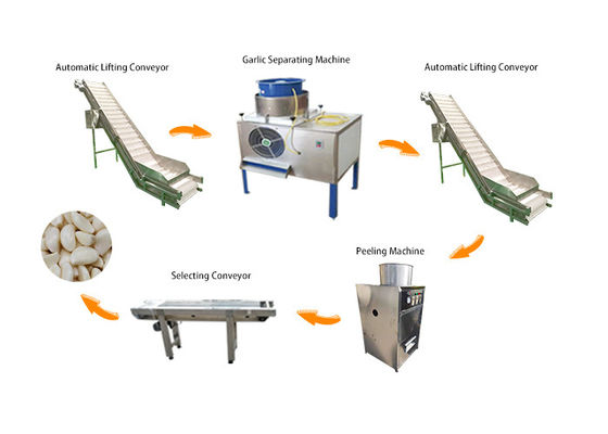 1000-2000 kg/h Industrial Automatic Garlic Peeler Processing Machine Production Line