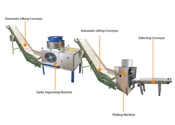 7kw Automatic Garlic Peeling Machine Production Line 2000kg/h capacity