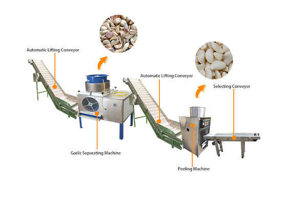 Garlic Processing Machines / Garlic Peeling Machine Production Line