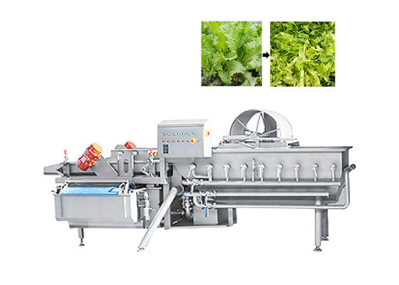 1000kg/H Green Leaf Cutter Lettuce Cutting Machine For Fruit Salad Vegetable