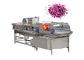 1000kg/H Green Leaf Cutter Lettuce Cutting Machine For Fruit Salad Vegetable