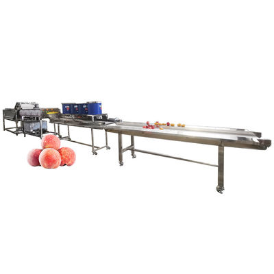 Peach Cleaning Drying Machine Vegetable Cutter And Washing Machine Line