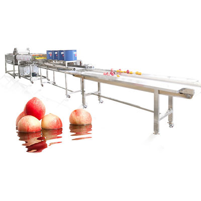 Stainless Steel Fruit Vegetable Washing Machine Line Lettuce Onion Apple Peach