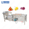 Automatic Ultrasonic Fruit Vegetable Washing Machine And Blanching Machine