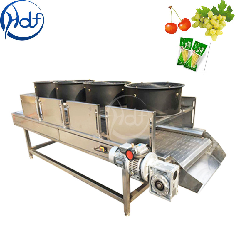 Continuous Vegetable Fruit Dryer Machine , Food Dehydrator Machine ...