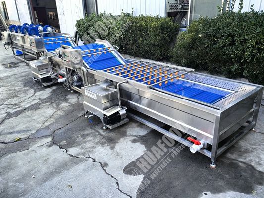 Fruit And Vegetable Washing Machine with Feathers and 220V Voltage