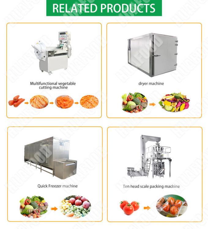 Fruit And Vegetable Processing Line High Efficiency Dried Fruit